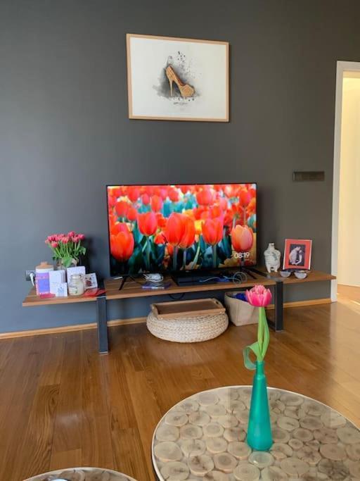 Large 2-Bedroom Centre Art Apartment 소피아 외부 사진